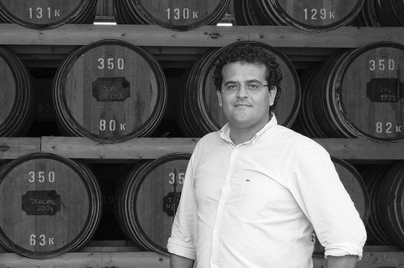 Juan Gomes Teixeira, Manager | BestGuide Portugal